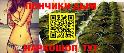 эйфоретик Лесосибирск